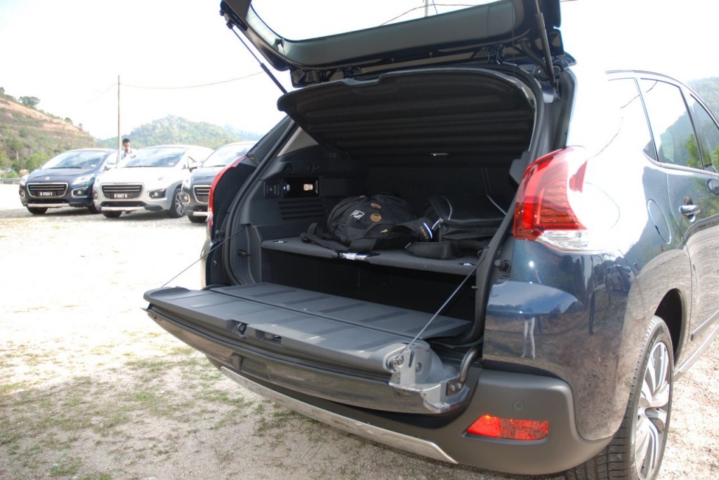 2014 PEUGEOT 3008 (16)